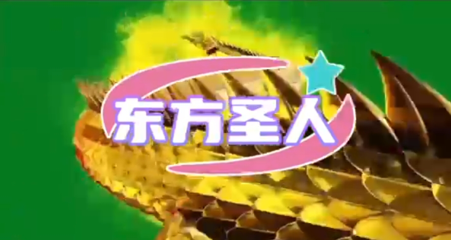 视频预览