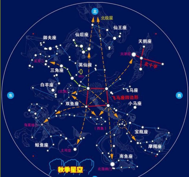 555